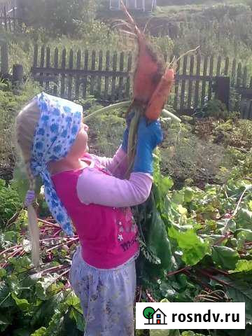 Участок СНТ, ДНП 6 сот. на продажу в Анжеро-Судженске Анжеро-Судженск - изображение 1