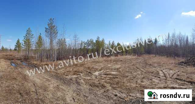 Участок СНТ, ДНП 11 сот. на продажу в Нижневартовске Нижневартовск - изображение 1