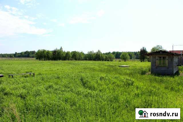 Участок СНТ, ДНП 110 сот. на продажу в Саперном Саперное - изображение 1