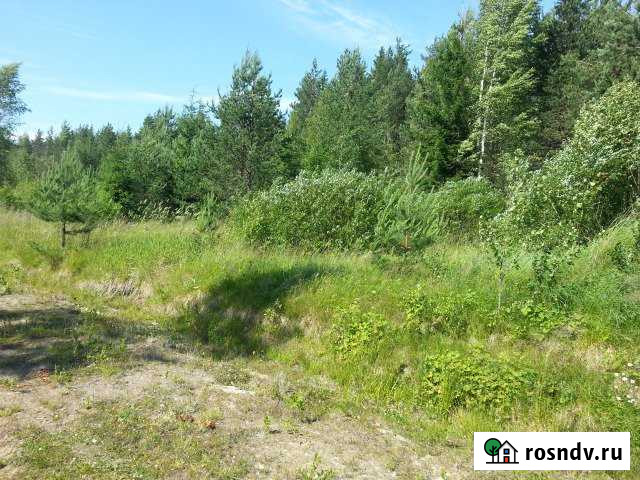 Участок ИЖС 12 сот. на продажу в Рощино Ленинградской области Рощино - изображение 1