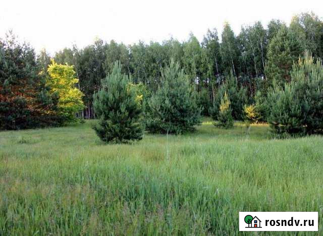 Участок ИЖС 25 сот. на продажу в Добром Доброе - изображение 1