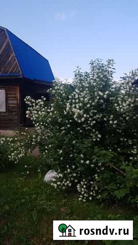 Дача 70 м² на участке 11 сот. в аренду на длительный срок в Сокуре Сокур - изображение 1