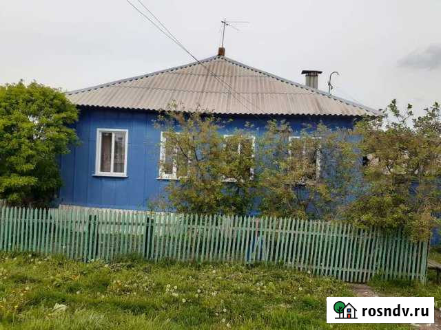 Дом 67.9 м² на участке 38 сот. на продажу в Репьевке Репьевка - изображение 1