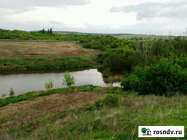 Участок СНТ, ДНП 200 сот. на продажу в Красноармейске Саратовской области Красноармейск - изображение 1