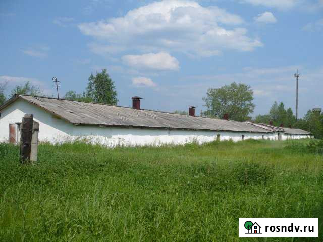 Участок СНТ, ДНП 100 сот. на продажу в Серове Серов - изображение 1