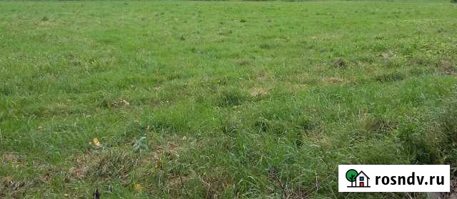 Участок СНТ, ДНП 12 сот. на продажу в Уваровке Уваровка - изображение 1