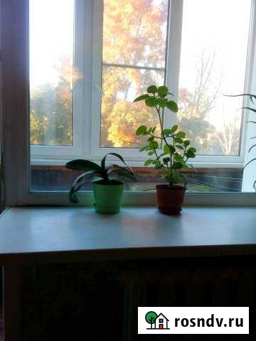 2-комнатная квартира, 44 м², 4/5 эт. на продажу в Ельце Елец - изображение 1