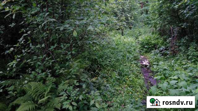 Участок СНТ, ДНП 12 сот. на продажу во Фрязино Фрязино - изображение 1