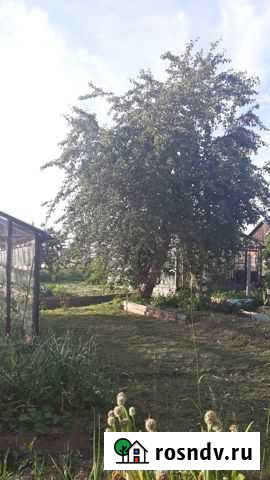 Дом 45 м² на участке 11.9 сот. на продажу в Верхнем Тагиле Верхний Тагил - изображение 1