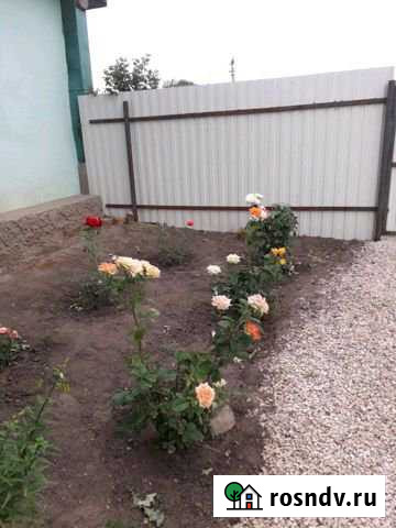 Дом 40 м² на участке 13 сот. на продажу в Линево Волгоградской области Линево - изображение 1