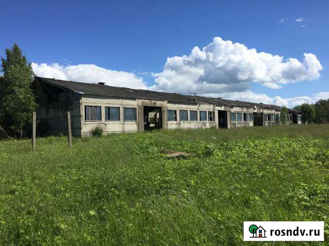 Складское помещение, 2000 кв.м. Волоколамск - изображение 1