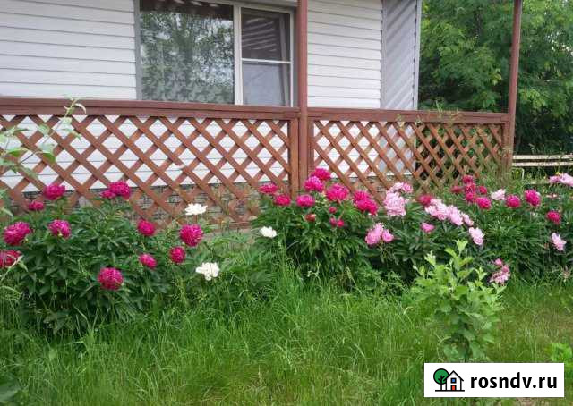 Дом 78 м² на участке 35 сот. на продажу в Шелаболихе Шелаболиха - изображение 1