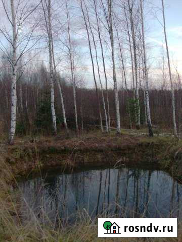 Участок СНТ, ДНП 14 сот. на продажу в Дубне Московской области Дубна - изображение 1