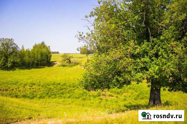 Участок ИЖС 5 сот. на продажу в Васильево Васильево - изображение 1