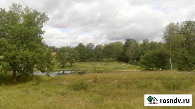 Участок ИЖС 200 сот. на продажу в Жукове Жуков - изображение 1