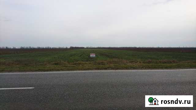 Участок СНТ, ДНП 561 сот. на продажу в Темрюке Темрюк - изображение 1