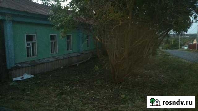 Дом 44 м² на участке 20 сот. на продажу в Белинском Белинский - изображение 1