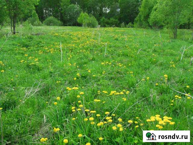 Участок ИЖС 15 сот. на продажу в Лотошино Лотошино - изображение 1