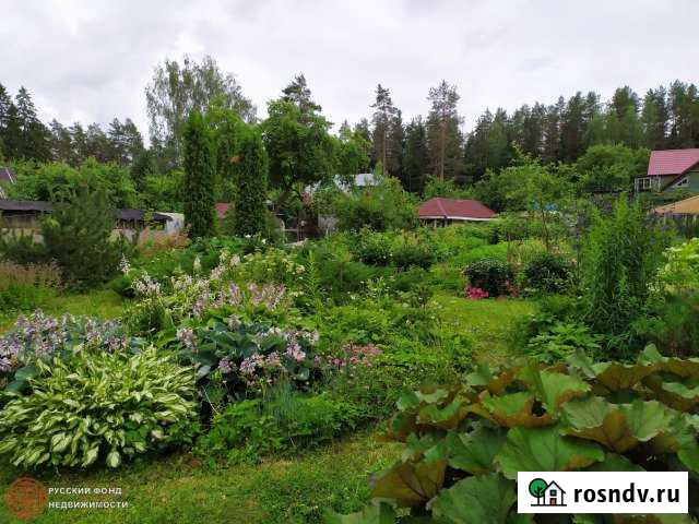 Участок ИЖС 10 сот. на продажу в Вырице Вырица - изображение 1