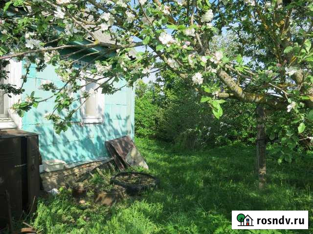 Коттедж 50 м² на участке 25 сот. на продажу в Волосово Волосово - изображение 1