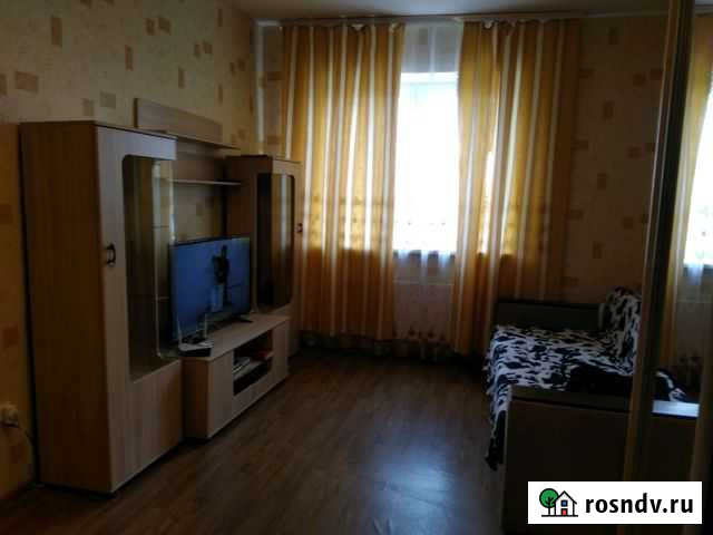 1-комнатная квартира, 42 м², 6/18 эт. в аренду на длительный срок в Новом Девяткино Новое Девяткино - изображение 1