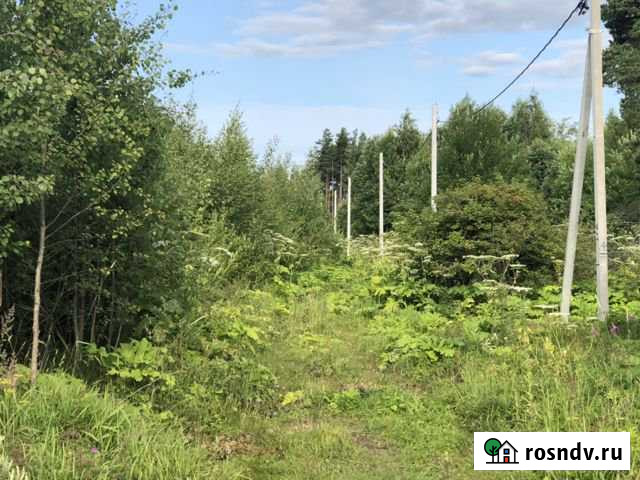 Участок ИЖС 15 сот. на продажу в Кингисеппе Кингисепп - изображение 1