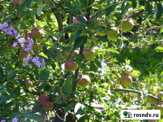 Участок ИЖС 13 сот. на продажу в Линде Линда - изображение 1