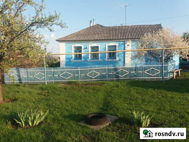 Дом 64 м² на участке 16 сот. на продажу в Роговатом Роговатое - изображение 1
