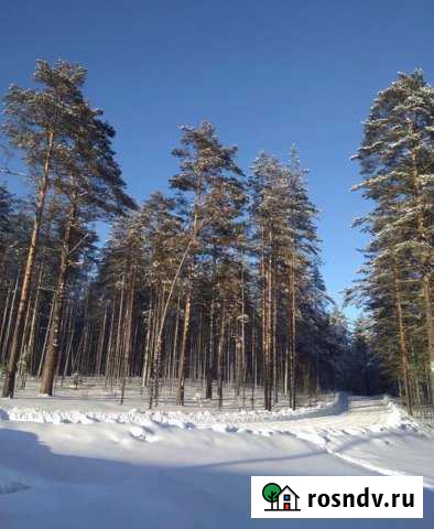 Участок ИЖС 13 сот. на продажу во Всеволожске Всеволожск - изображение 1