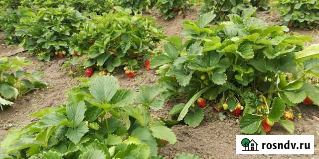 Дом 50 м² на участке 17 сот. на продажу в Ревде Свердловской области Ревда - изображение 1