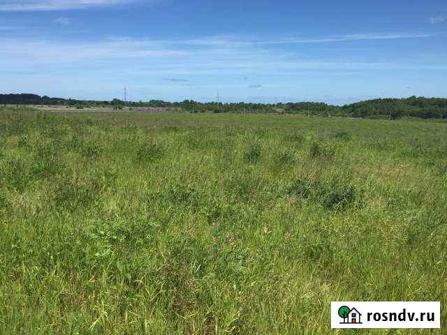 Участок СНТ, ДНП 570 сот. на продажу в Светлогорске Светлогорск - изображение 1