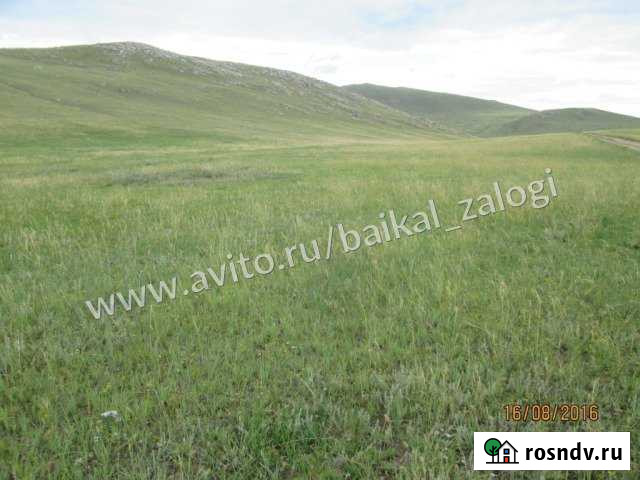 Участок ИЖС 600 сот. на продажу в Еланцах Еланцы - изображение 1