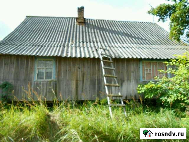 Дом 50 м² на участке 50 сот. на продажу в Пустошке Пустошка - изображение 1