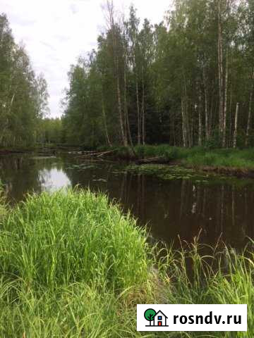 Участок СНТ, ДНП 10 сот. на продажу в Сосново Сосново - изображение 1