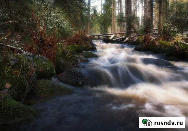 Участок СНТ, ДНП 11 сот. на продажу в Каменке Ленинградской области Каменка - изображение 1