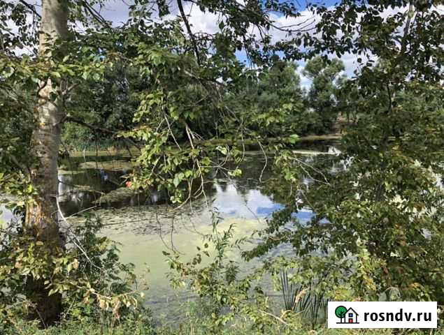 Участок ИЖС 14 сот. на продажу в Выездном Выездное - изображение 1