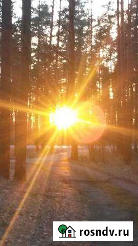 Участок ИЖС 17 сот. на продажу на Острове Остров - изображение 1