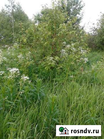 Участок ИЖС 19 сот. на продажу в Петровском Ярославской области Петровское - изображение 1