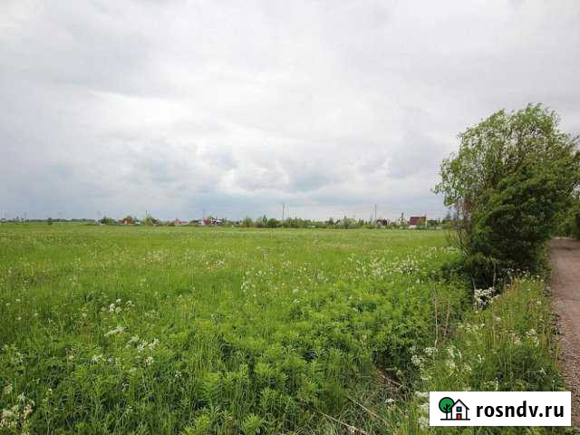 Участок ИЖС 140 сот. на продажу в Кунье Кунья - изображение 1