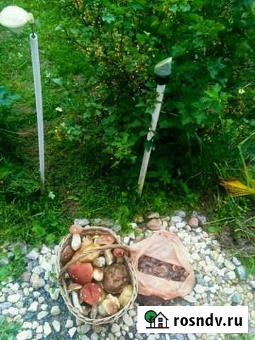 Участок СНТ, ДНП 8 сот. на продажу в Высоковске Высоковск - изображение 1