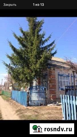 Дача 40 м² на участке 3 сот. на продажу в Россоши Россошь - изображение 1