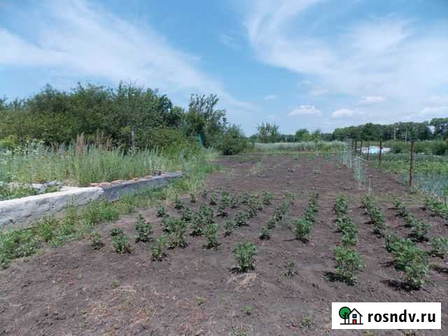 Участок СНТ, ДНП 8 сот. на продажу в Разумном Разумное - изображение 1