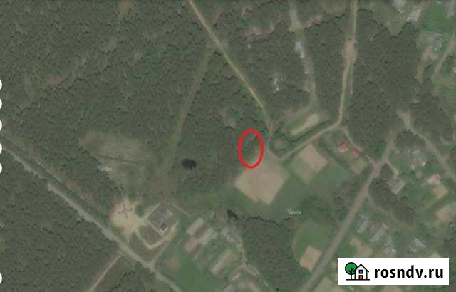 Участок промназначения 70 сот. на продажу в Печорах Печоры - изображение 1