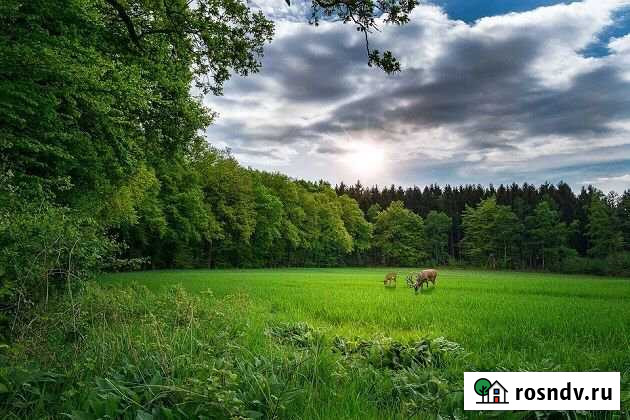 Участок ИЖС 10 сот. на продажу в Старом Крыме Старый Крым - изображение 1