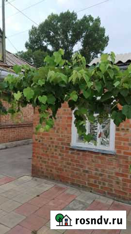 Дом 40 м² на участке 6 сот. в аренду посуточно в Таганроге Таганрог - изображение 1