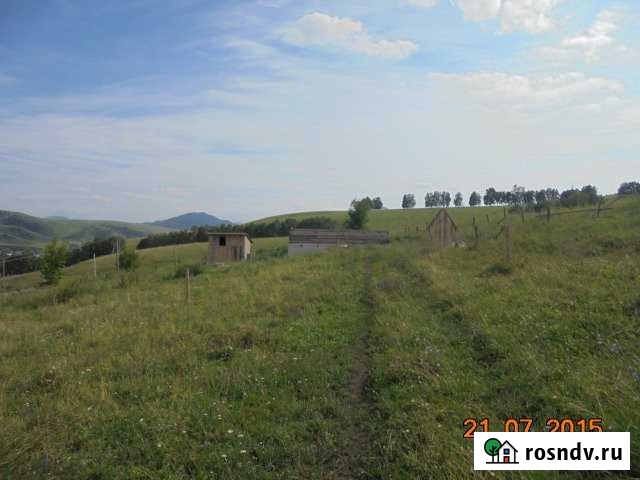 Участок ИЖС 15 сот. на продажу в Алтайском Алтайское - изображение 1