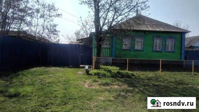 Дом 65.9 м² на участке 20 сот. на продажу в Репьевке Репьевка - изображение 1