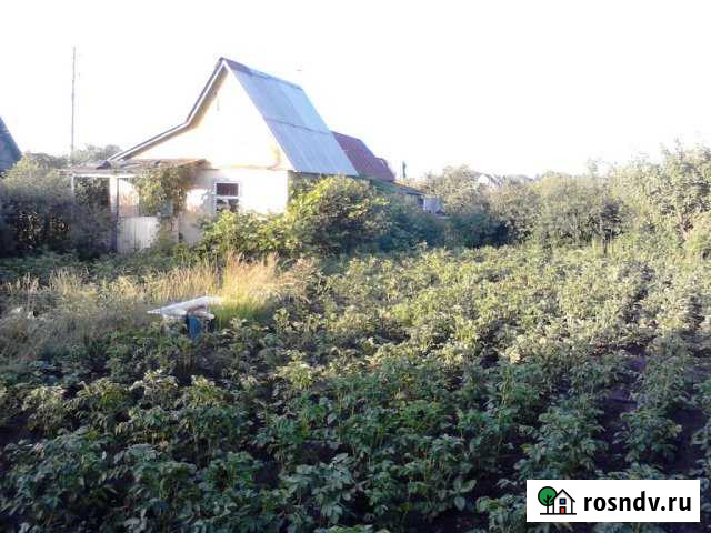 Дача 20 м² на участке 8 сот. на продажу в Чемодановке Чемодановка - изображение 1