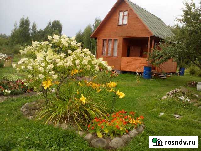 Дача 54 м² на участке 12 сот. на продажу в Назие Назия - изображение 1