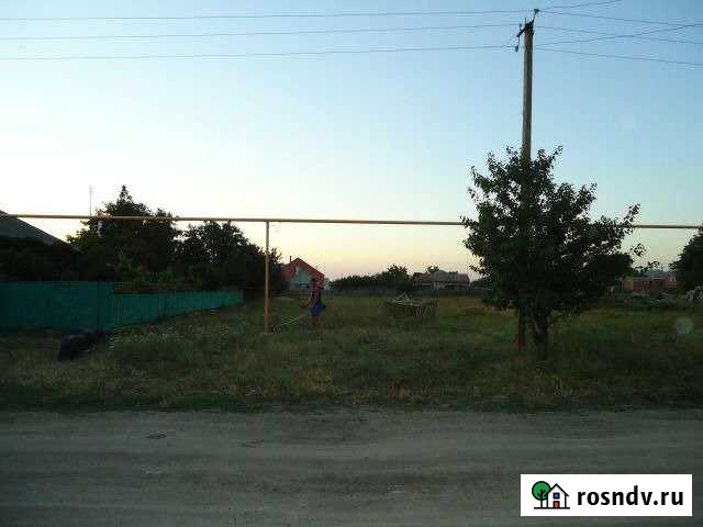 Участок ИЖС 30 сот. на продажу в Камышеватской Камышеватская - изображение 1